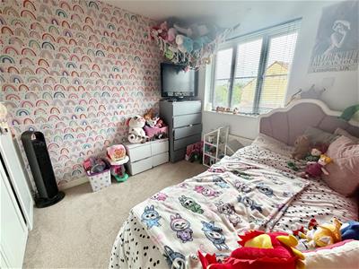 Picture 11